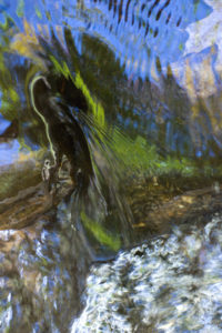 from the series "Elemental Watercolors"

photographs taken in streams